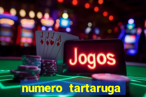 numero tartaruga jogo do bicho